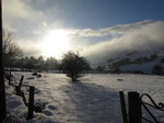 SX02567 Shadow of tree on snow in Wicklow mountains.jpg